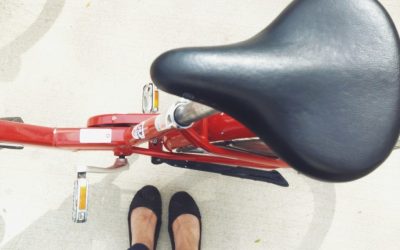 America’s Bicycleland: 5×3 must-ride bike routes