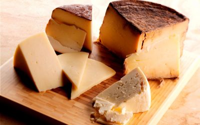 Cheese Lovers Unite! Seven Wisconsin Cheese Tours