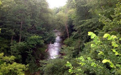 10 Things To Do in River Falls