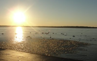 IRONMAN WISCONSIN: Spectate the Right Way on Race Day