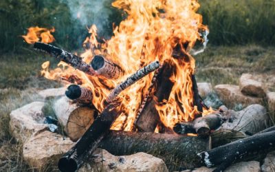 6 Easy Campfire Recipes You Never Knew You Needed