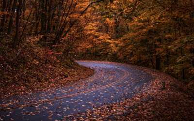 11 Rustic Fall Drives in Wisconsin