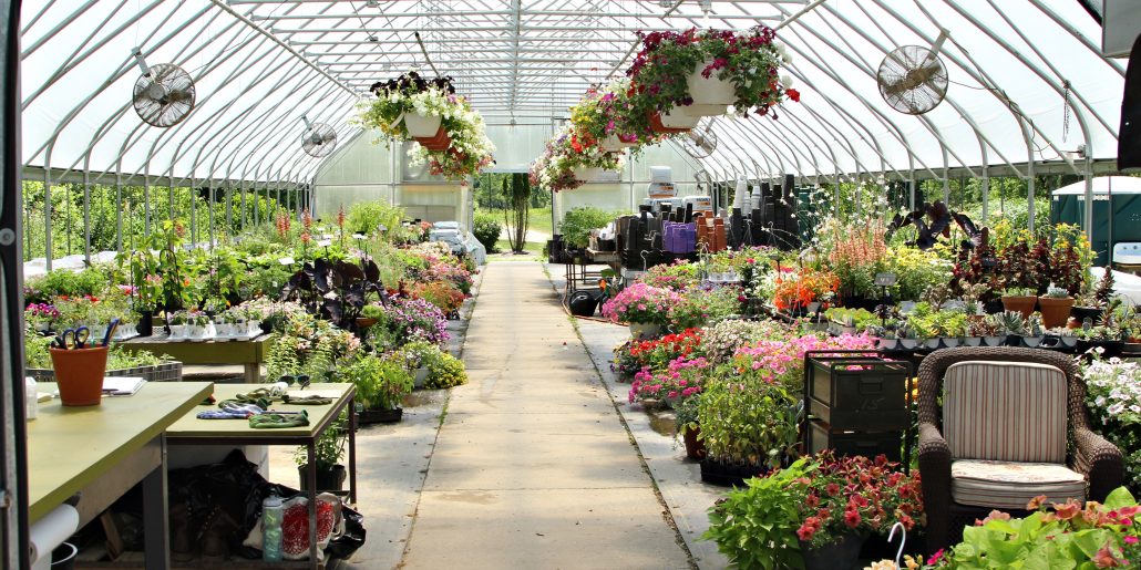 4 Wisconsin Greenhouses to Visit This Spring