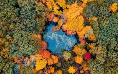 Ten of Our Favorite Things To Do in Waushara County