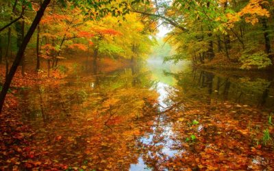 Official Rules: 2021 Discover Wisconsin Calendar Contest