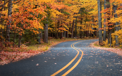 Where to Find Fall Colors in Southeast Wisconsin This Weekend!