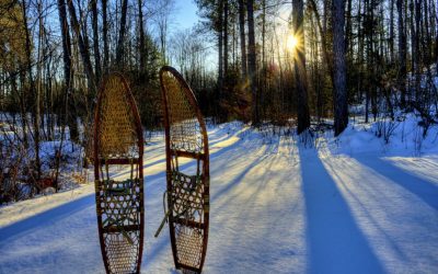 Cabin Fever? Cure It in the Wisconsin Northwoods with These Outdoor Activities