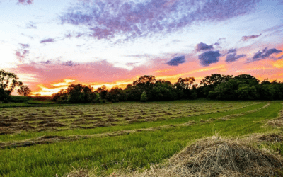 How Wisconsinites Can Be More Energy Efficient