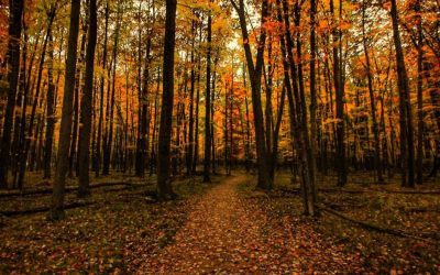 Biking Throughout Wisconsin this Fall