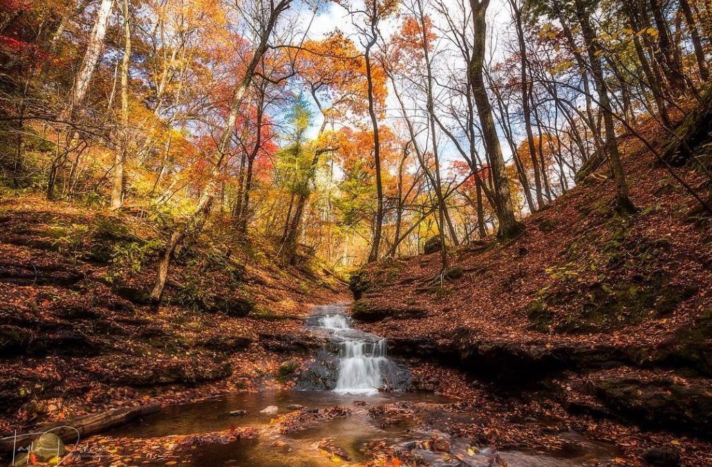 Where to See the Best Fall Colors in Southwest Wisconsin