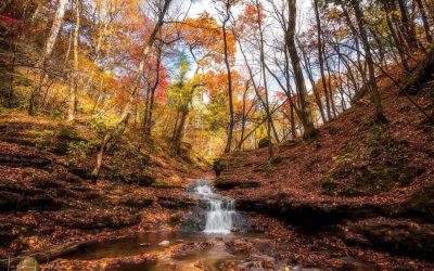 Where to See the Best Fall Colors in Southwest Wisconsin