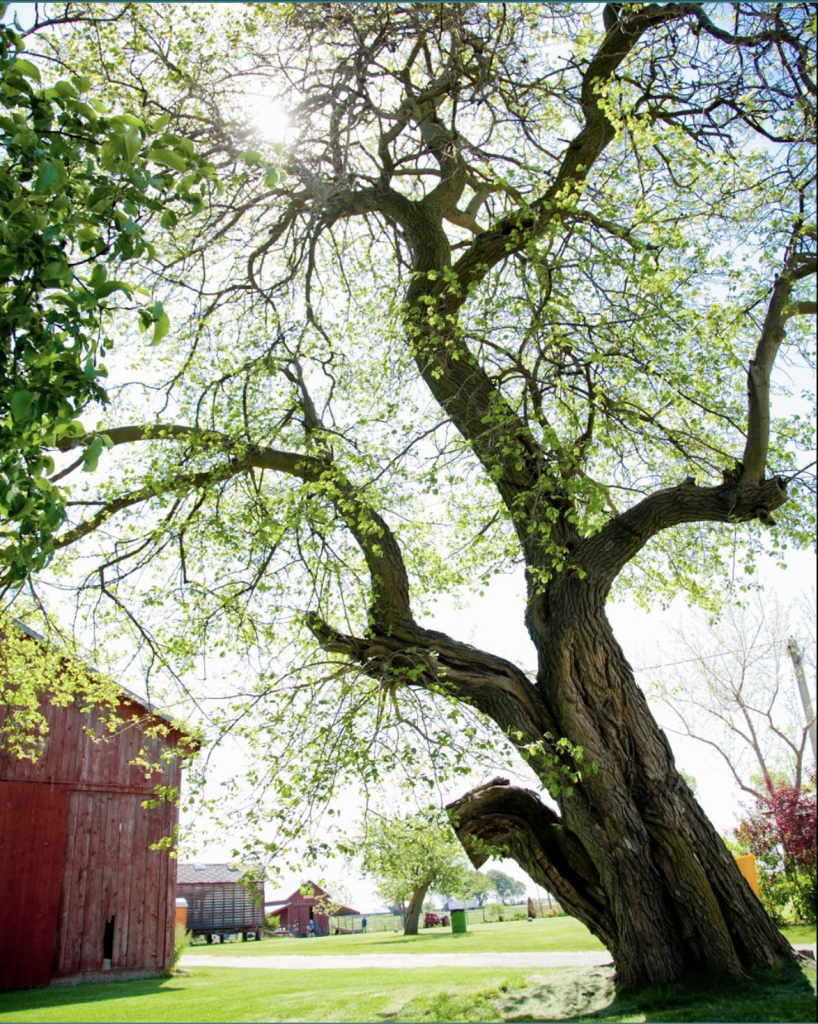 A Weekend Getaway in Calumet County Discover Wisconsin