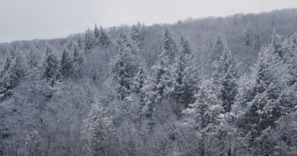 The Story of Hurley Connecting Trails to the Community Discover