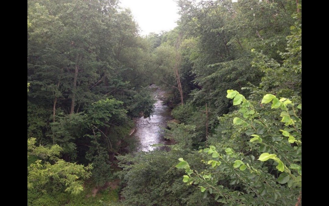 River Falls: City on the Kinni