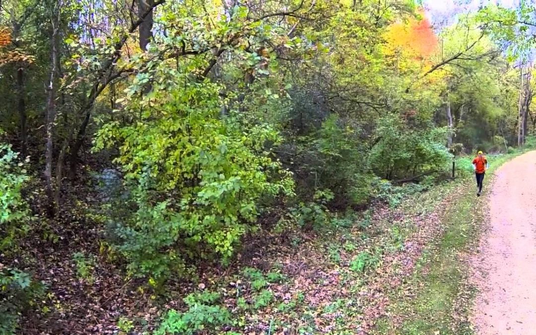 The Home Stretch — Ice Age National Scenic Trail | Discover Wisconsin