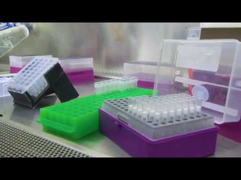 Marshfield Clinic Continues to Lead Vaccine Research | Know Your Wisconsin