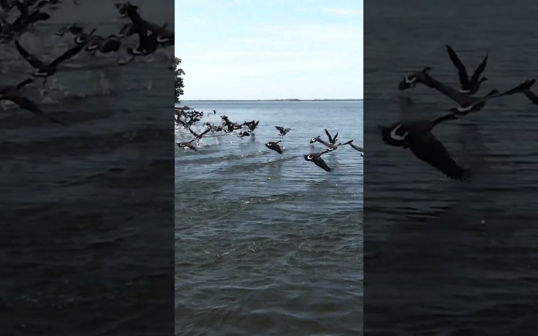 Outdoors of Adams: Wisconsin’s 2nd Largest Lake