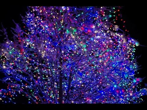 Making Spirits Bright – La Crosse Rotary Lights | Segment 3