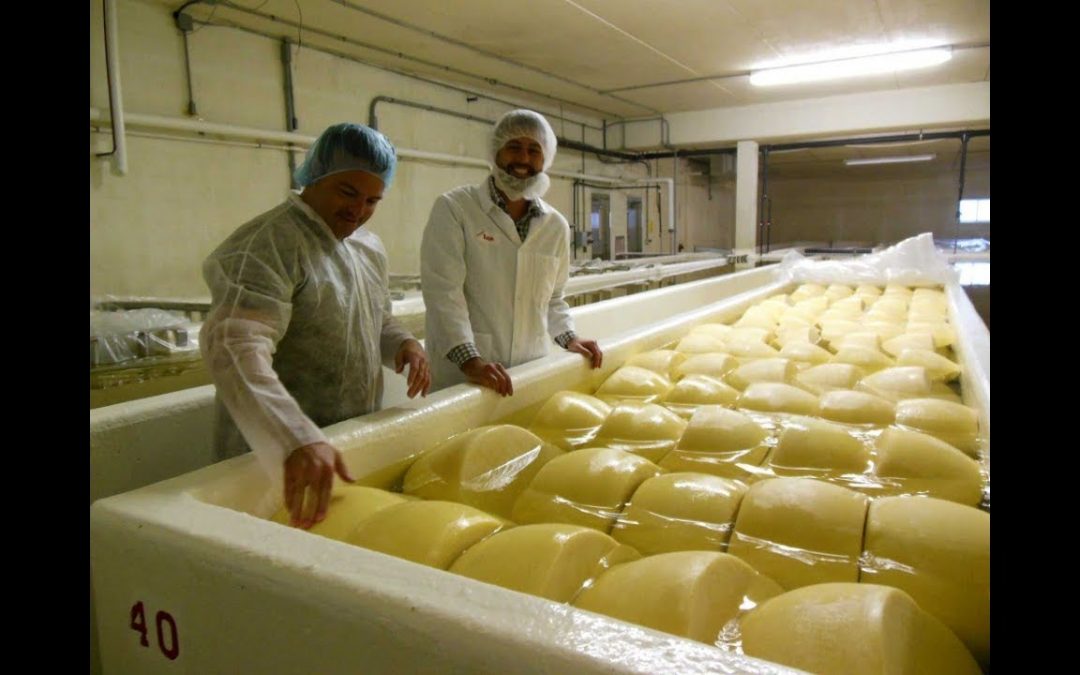Wisconsin’s Cheese Heritage