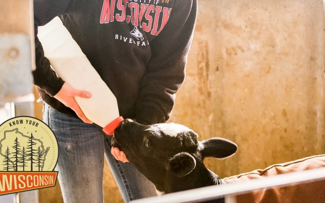 UW-River Fall’s Dairy Pilot Plant | Know Your Wisconsin