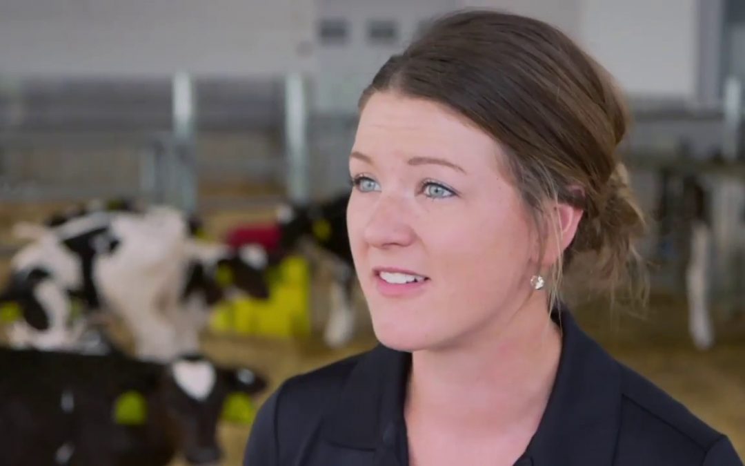 Discover Wisconsin: Young And Hungry
