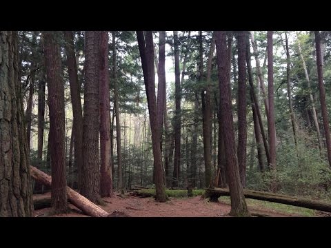 Oconto County – A Place For You (Trailer)