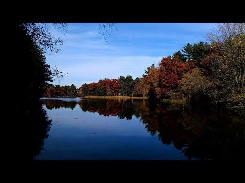Chippewa Falls – Pure Fun For Everyone