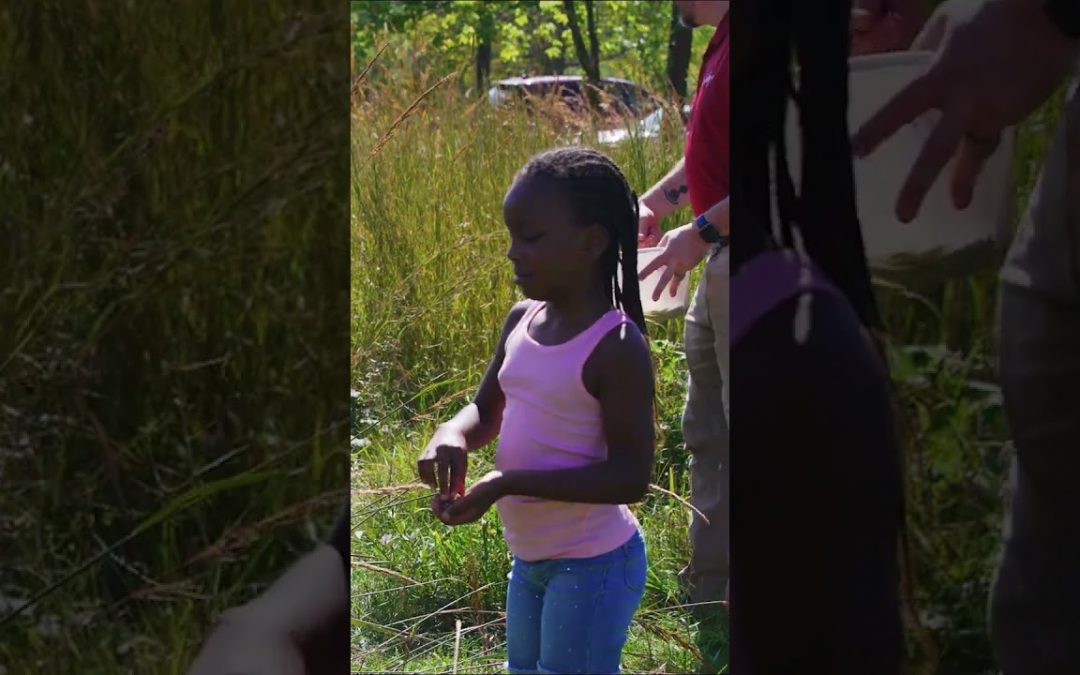 The Welty Center: Where science meets fun!