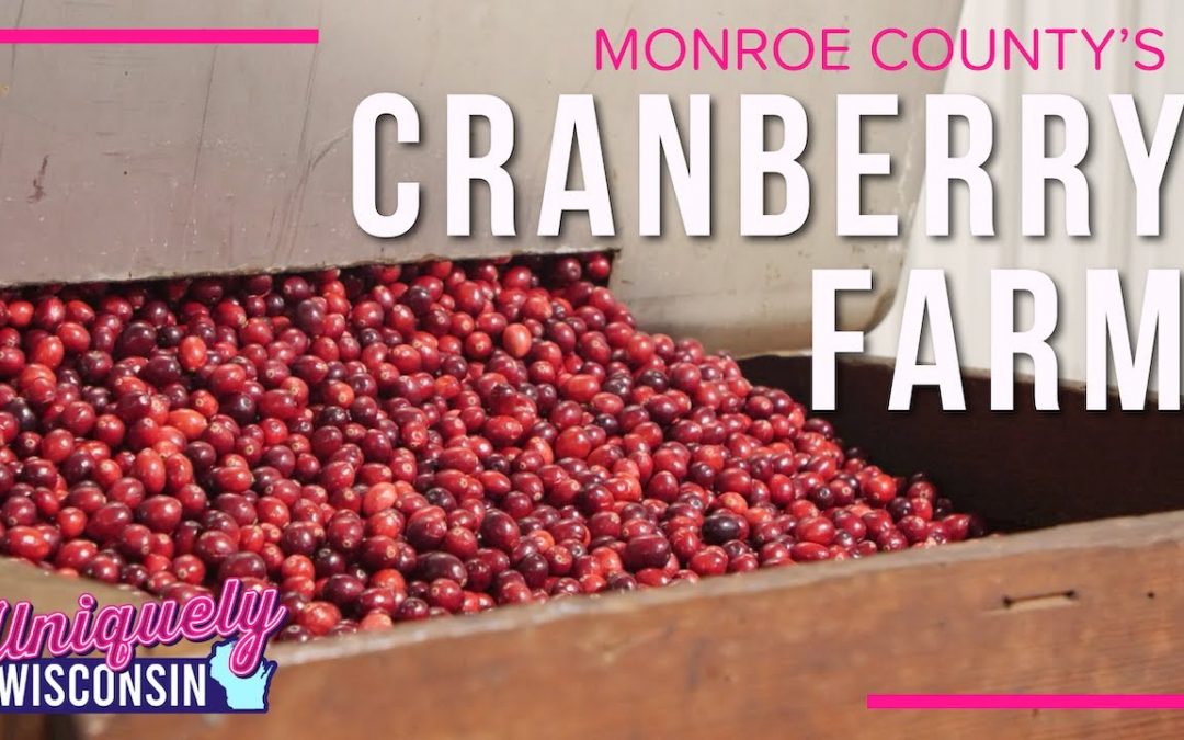 A Fifth Generation Cranberry Farm: Reframing Farming