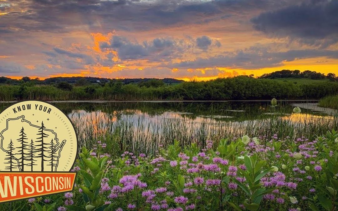 Pheasant Branch Conservancy | Know Your Wisconsin