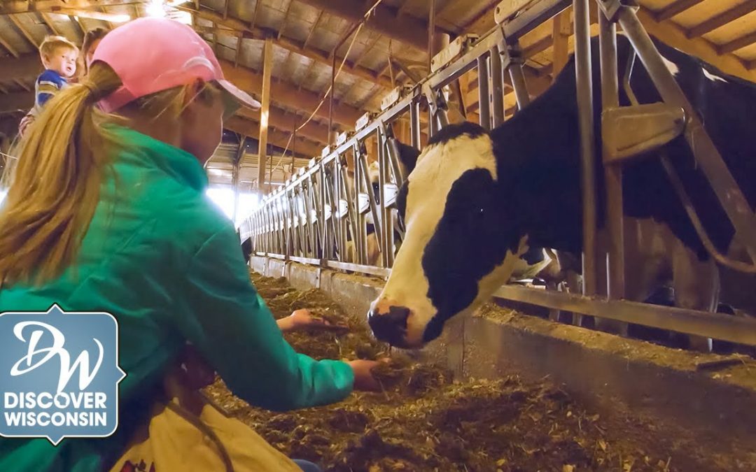 Janesville: Skelly & Daluge Family Farms (Segment)