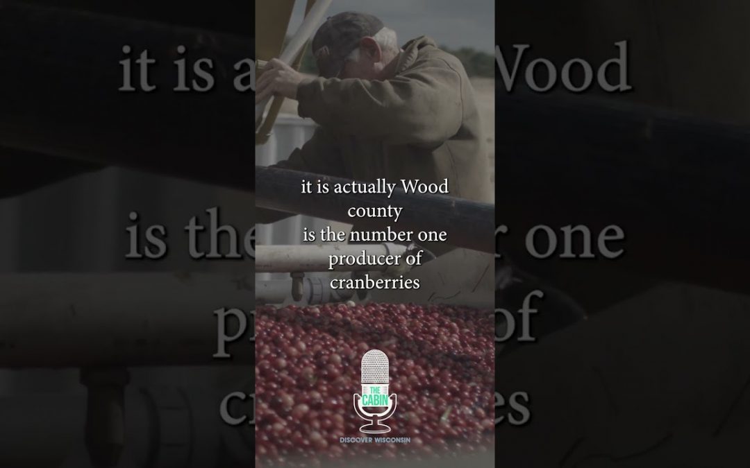 Wood County: A Hub of Outdoor Adventure