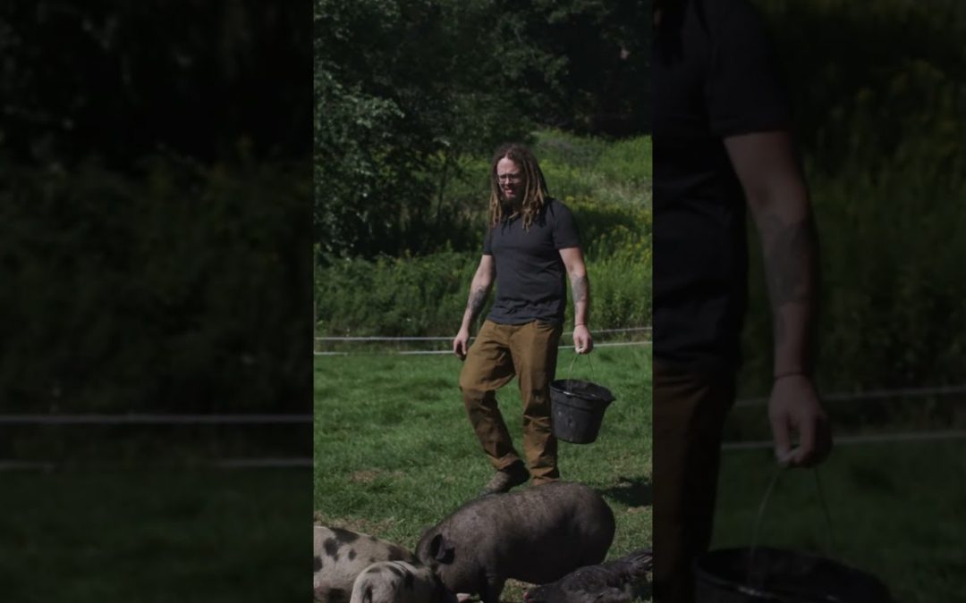 What would you do with this barn?