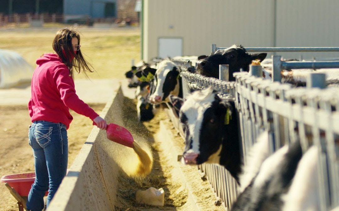 UW System President Thompson on WI Agriculture & Dairy