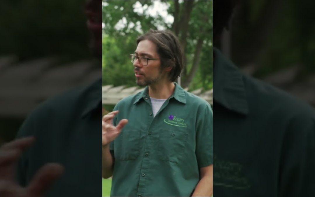 Visit the Rotary Botanical Gardens in Janesville with us!