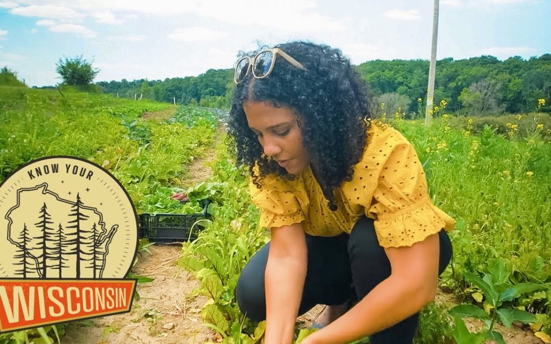 Farley Center | Know Your Wisconsin