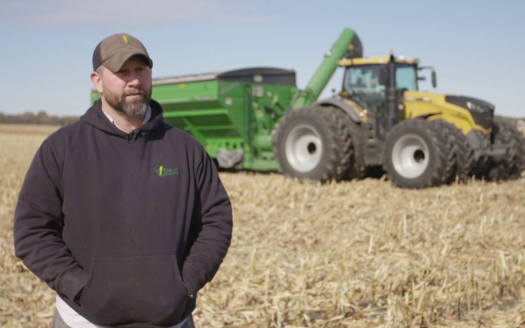 Corn Feed used to Fuel Beef | Know Your Wisconsin