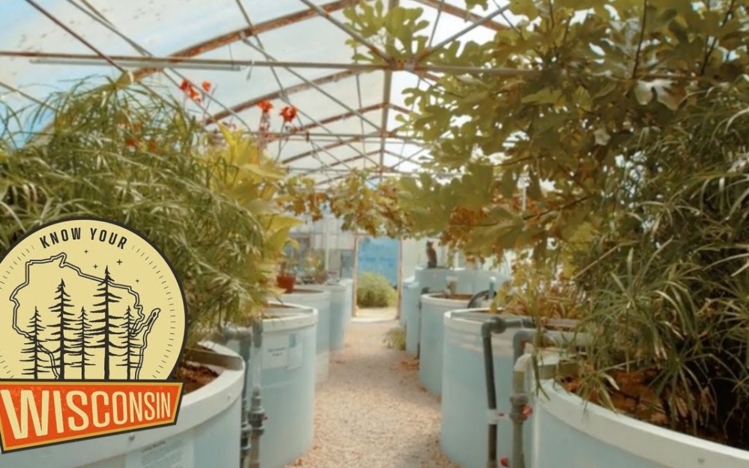 Cedar Grove Cheese | Know Your Wisconsin