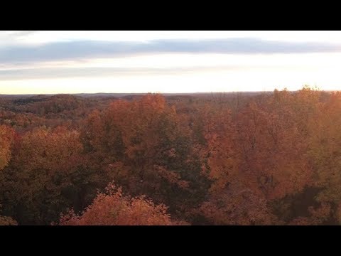 Wisconsin’s County Forests