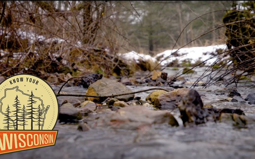 Wisconsin County Parks | Know Your Wisconsin