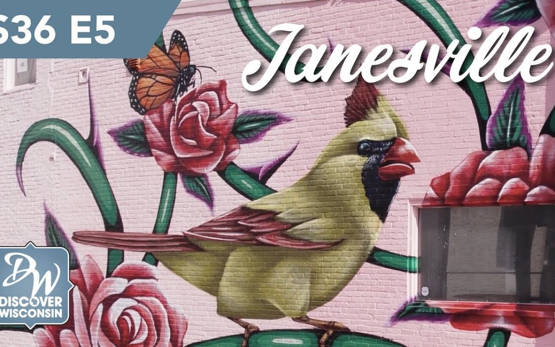 Art Is Alive And For Everyone in Janesville