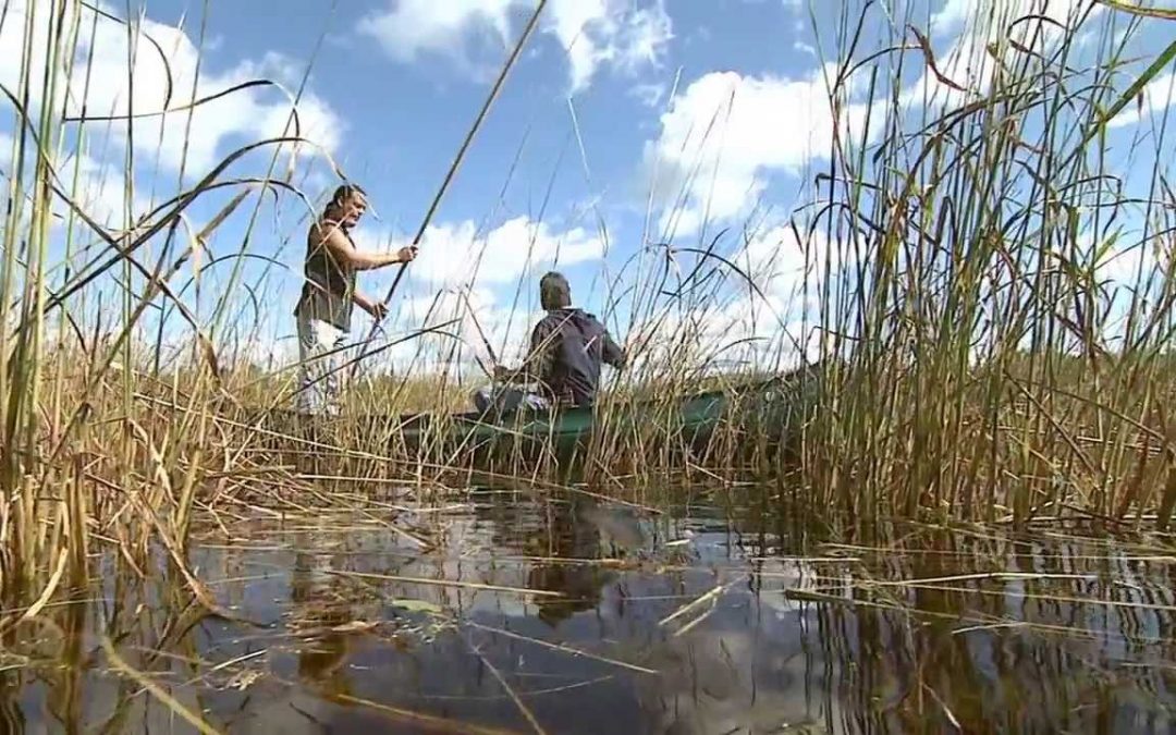 Discover More of Wisconsin’s Tribal Lands | Discover Wisconsin