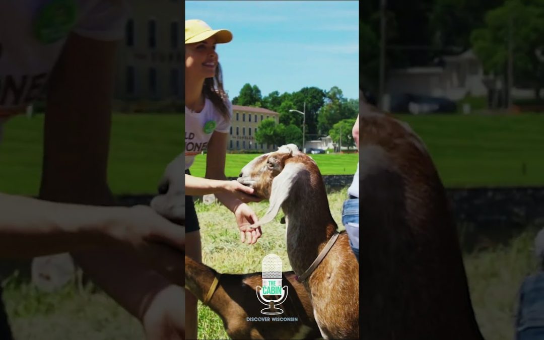 A 2024 Wisconsin Guide to New Year’s Resolutions