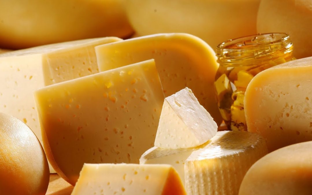 Wisconsin Cheese Renaissance