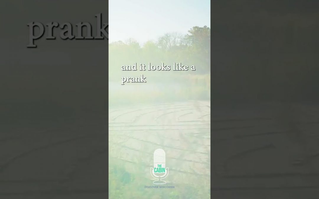 Four Season Foraging