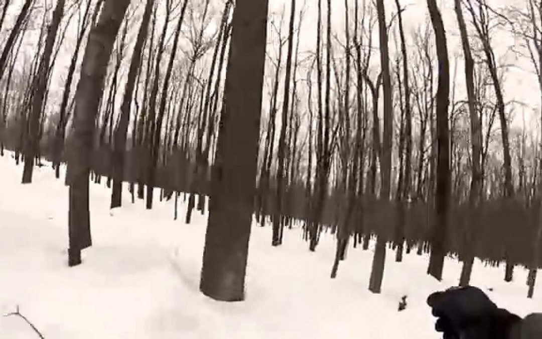 DW Bonus Video: Exploring the trails at Wausau’s Granite Peak