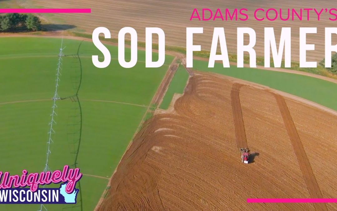 The Family Behind Iconic Sod | Science in Wisconsin Soil