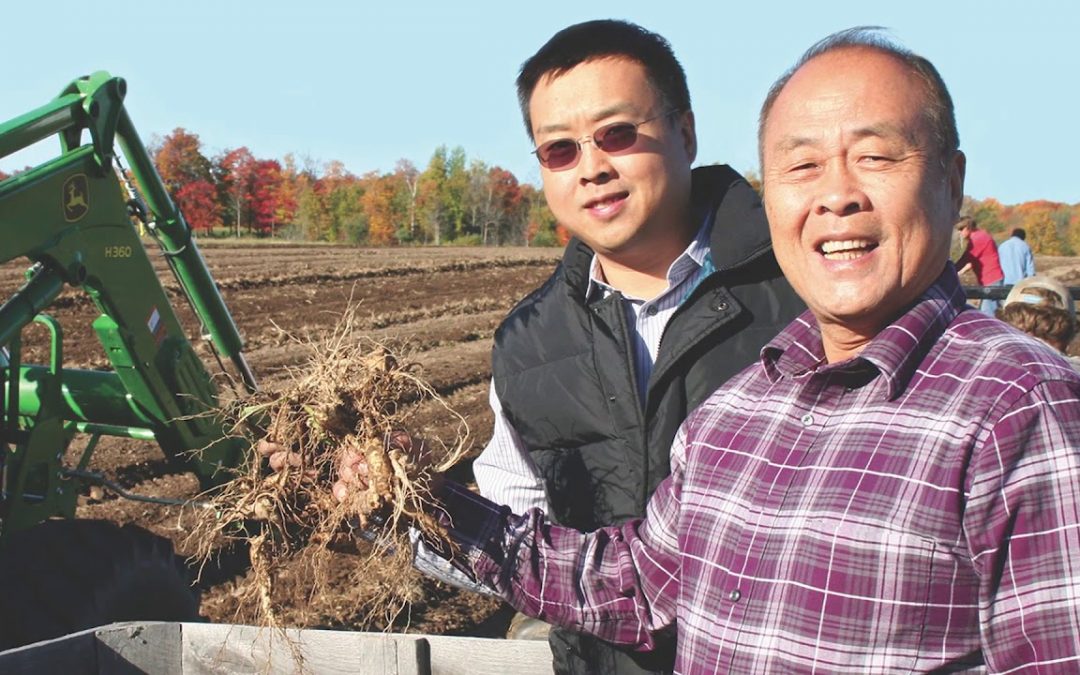 UW-Madison alum helps lead one of the largest American Ginseng farms in the U.S.