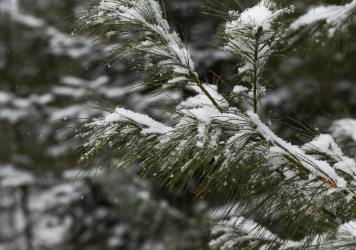 Cold Weather Adventures in Rhinelander…When Winter Returns