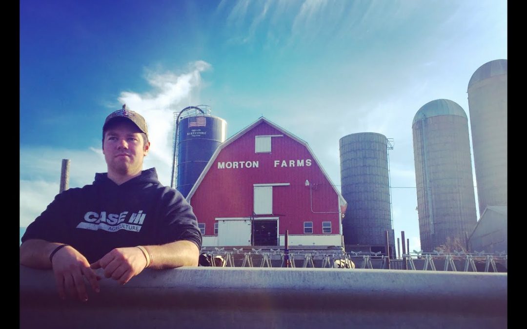 America’s Dairyland | Morton Farms